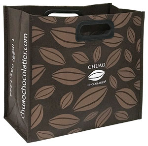 Custom reusable catalog promo bag