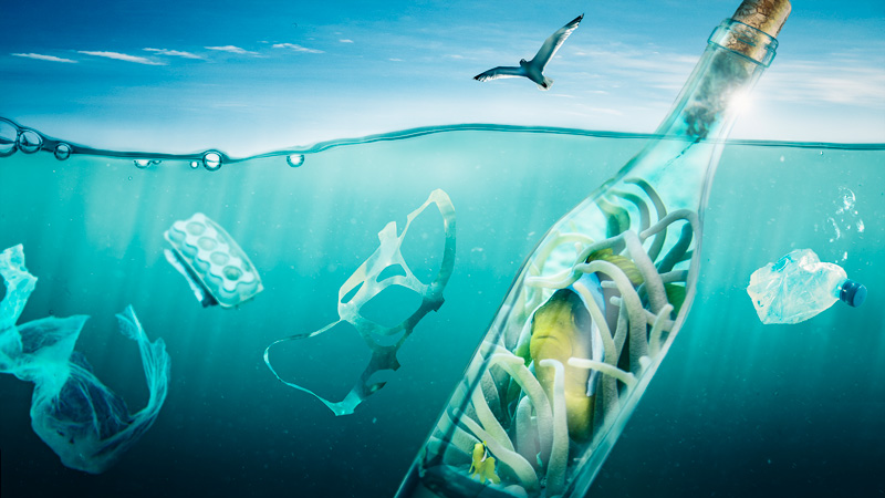 Plastic Ocean Pollution